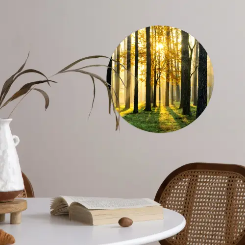 Bos - Zon - Bomen - Gras - Landschap  - Natuur Wandcirkel behangsticker klein -sfeer3