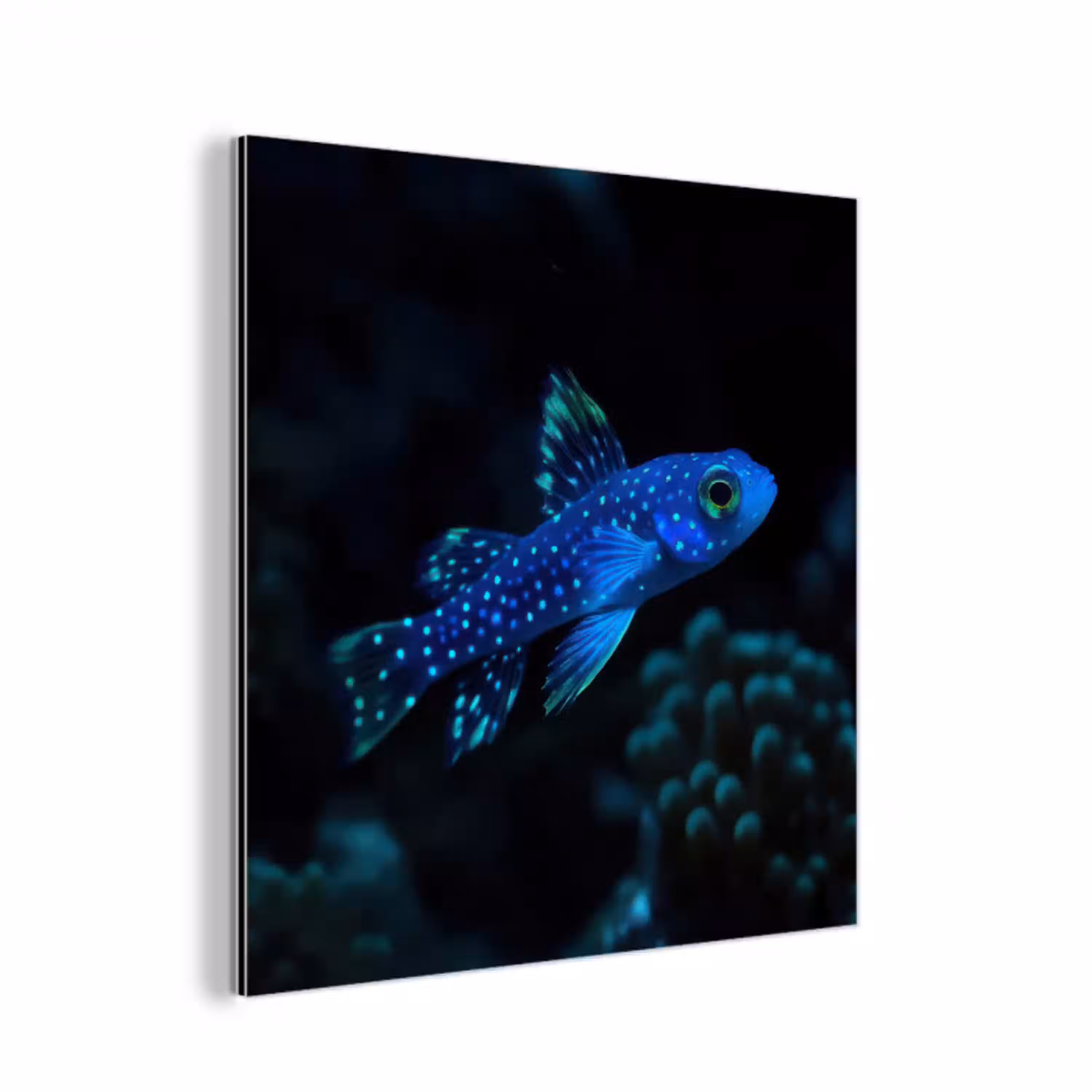 Vis - Stippen - Koraal - Blauw aluminium wit klein -3d