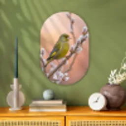 Groenling - Katjes - Lente - Natuur - Zacht Wandcirkel Ovaal Forex klein -sfeer2