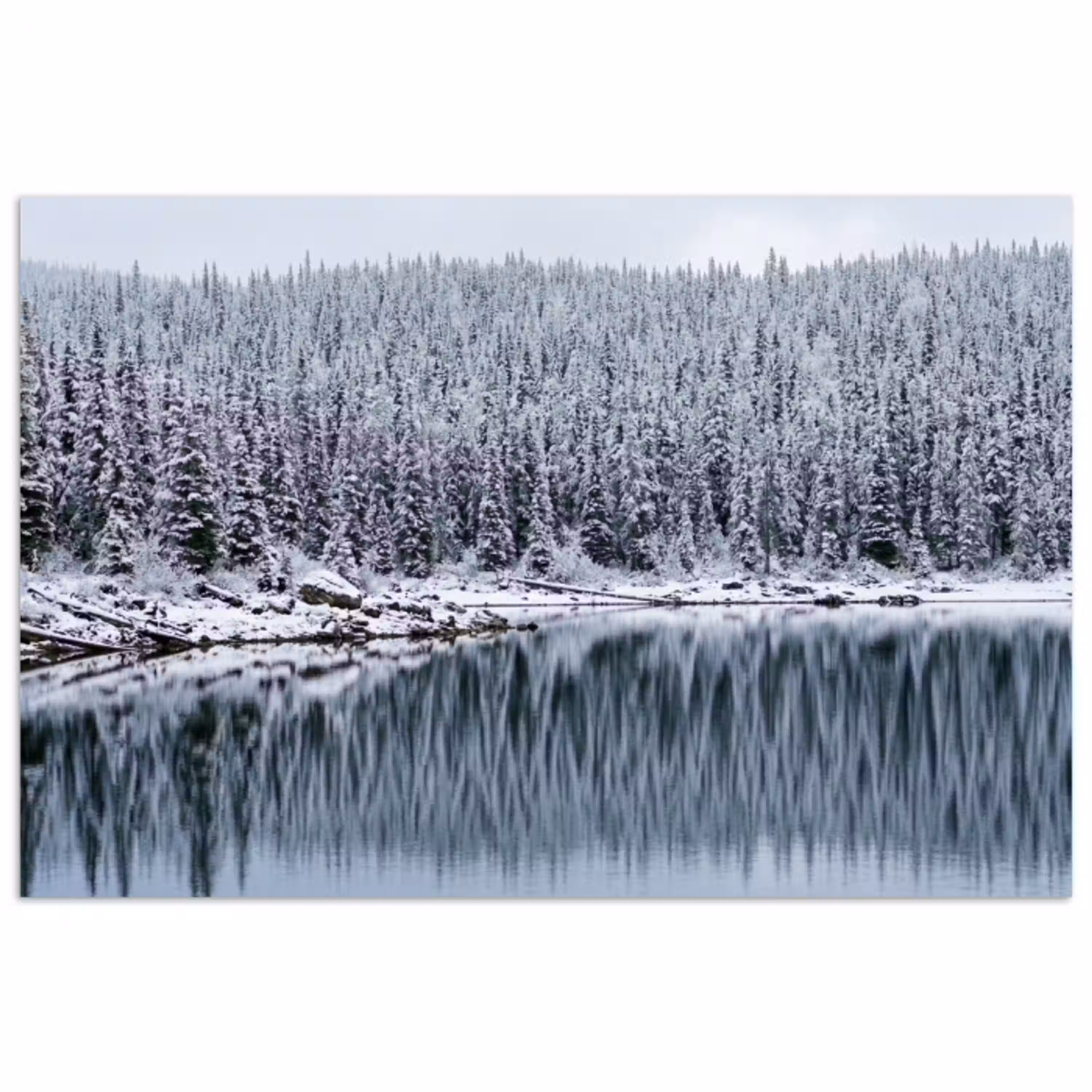 Bos - Reflectie - Meer - Winter - Serene poster papier klein -3d