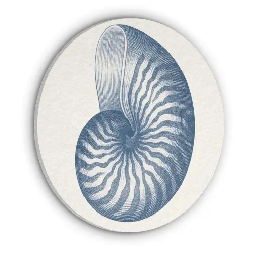 Blauw - Schelp - Spiraal Akoestische PET Vilt - Rond klein -3d