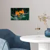 Paradijsvogel - Bloem - Exotisch poster papier klein -sfeer3