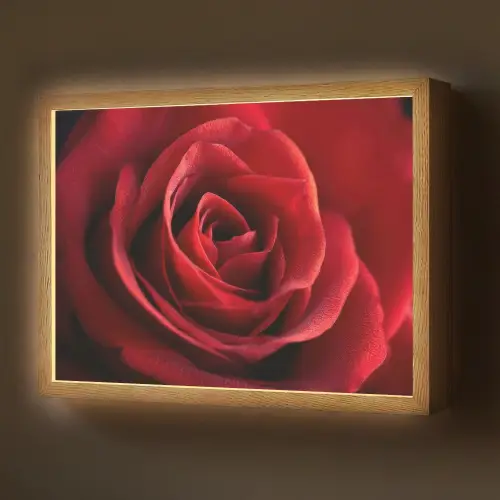 Rood - Roos - Romantisch Light Box met batterij (Wandlamp) middel -z3d_website