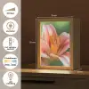 Lelie - Close up - Lichtroze Light Box met kabel (Tafellamp) klein -USP_NL