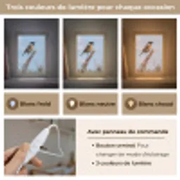 Roodborsttapuit - Heide - Paars - Natuur - Sfeervol Light Box met kabel (Kinderlampje) klein -USP_lichtkleurFR