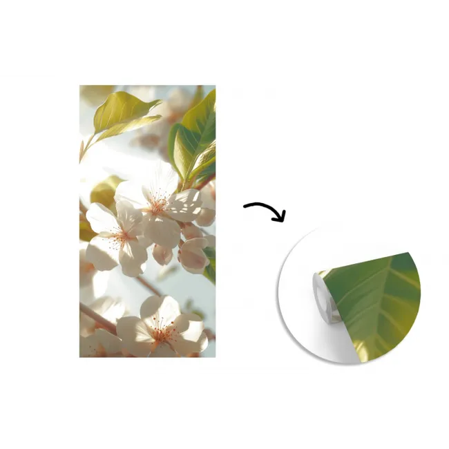 Bloesems - Wit - Zonnestralen -  Bloemblaadjes fotobehang vinyl groot -3d