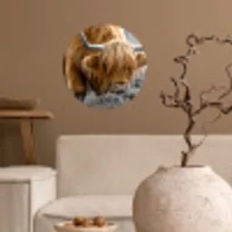 Schotse Hooglander - Dieren - Bruin - Koe - Zwart - Wit - Natuur Wandcirkel behangsticker klein -sfeer1