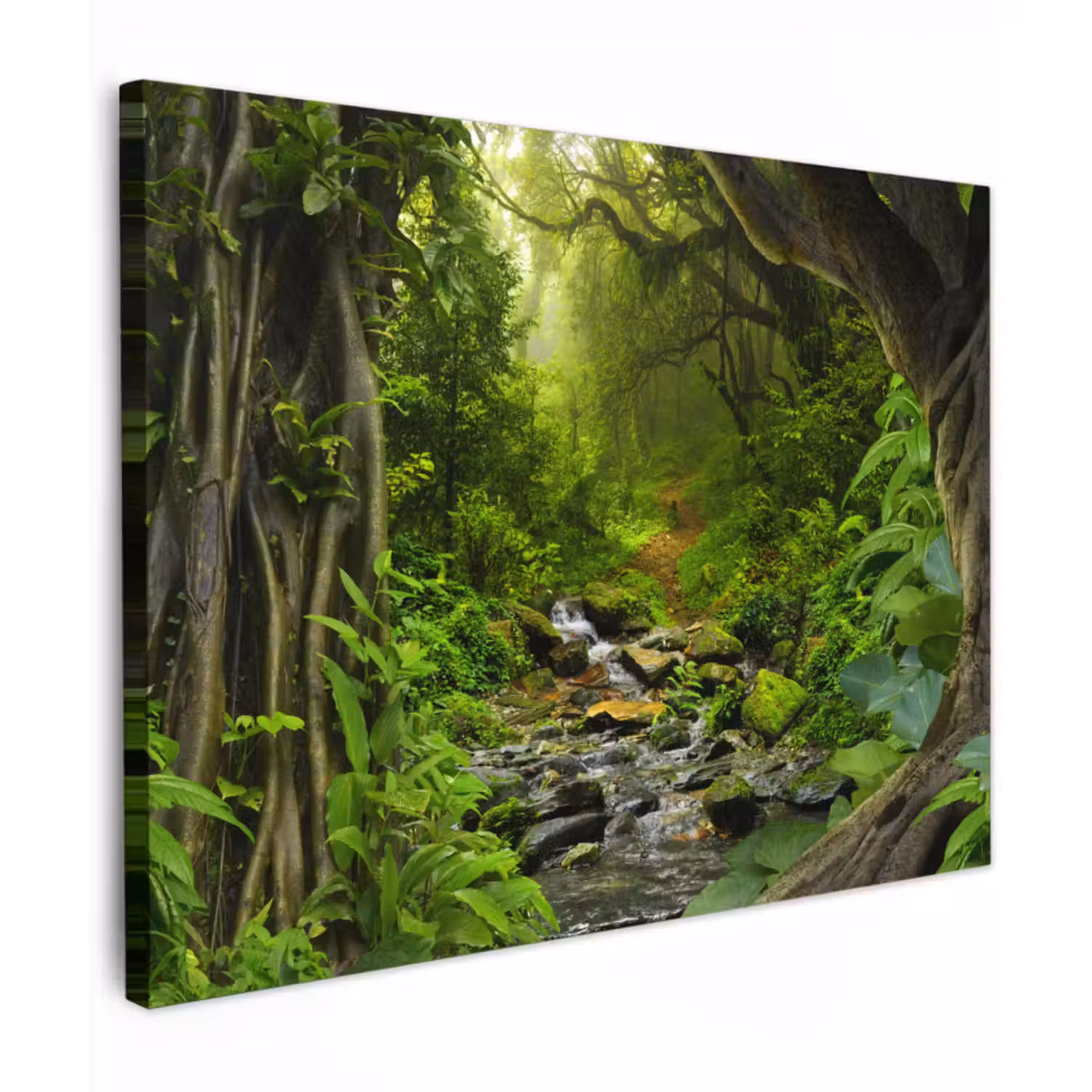 Canvas schilderij - Natuur - Water - Jungle - Bos - Tropisch