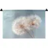 Paardenbloemen - Pluisjes - Wit Wandkleed katoen klein -zz3d