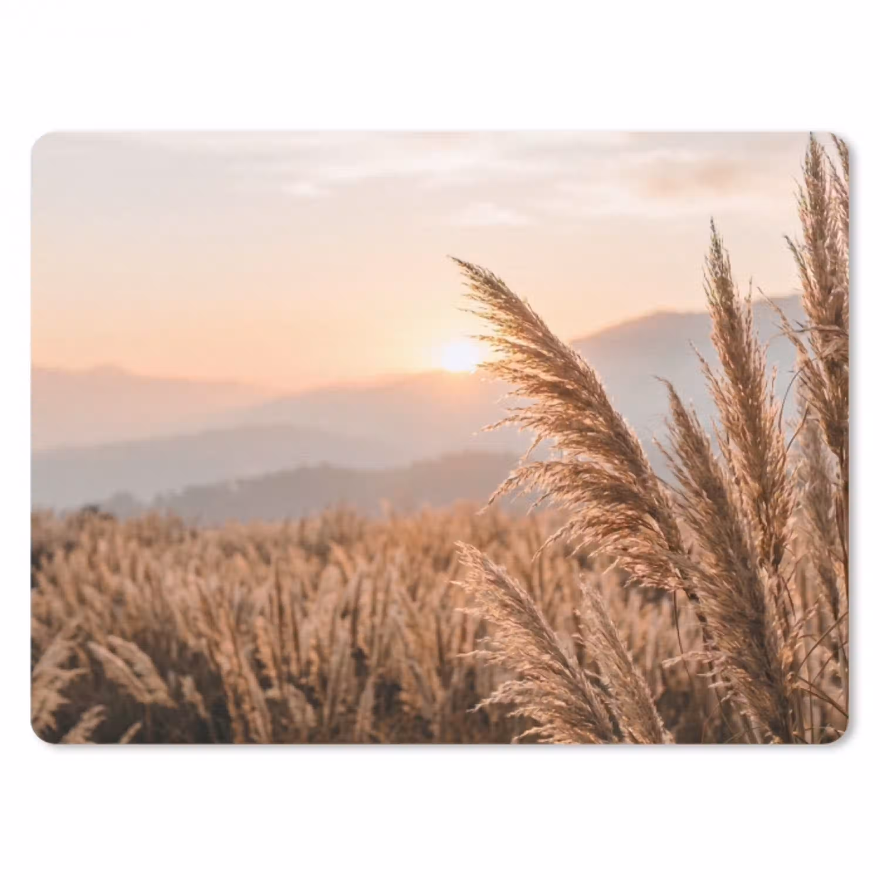 Gras - Veld - Zon - Natuur muismat rubber klein -3d