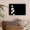 Lelietjes van dalen - Bloemen - Zwart - Flora canvas 2cm klein -sfeer1