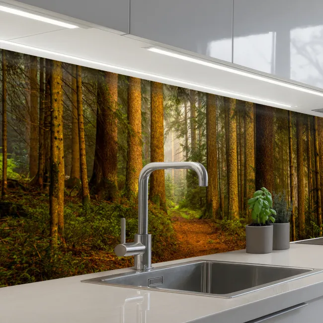 Crédence Cuisine - Forêt - Nature - Arbres - Paysage - Feuilles