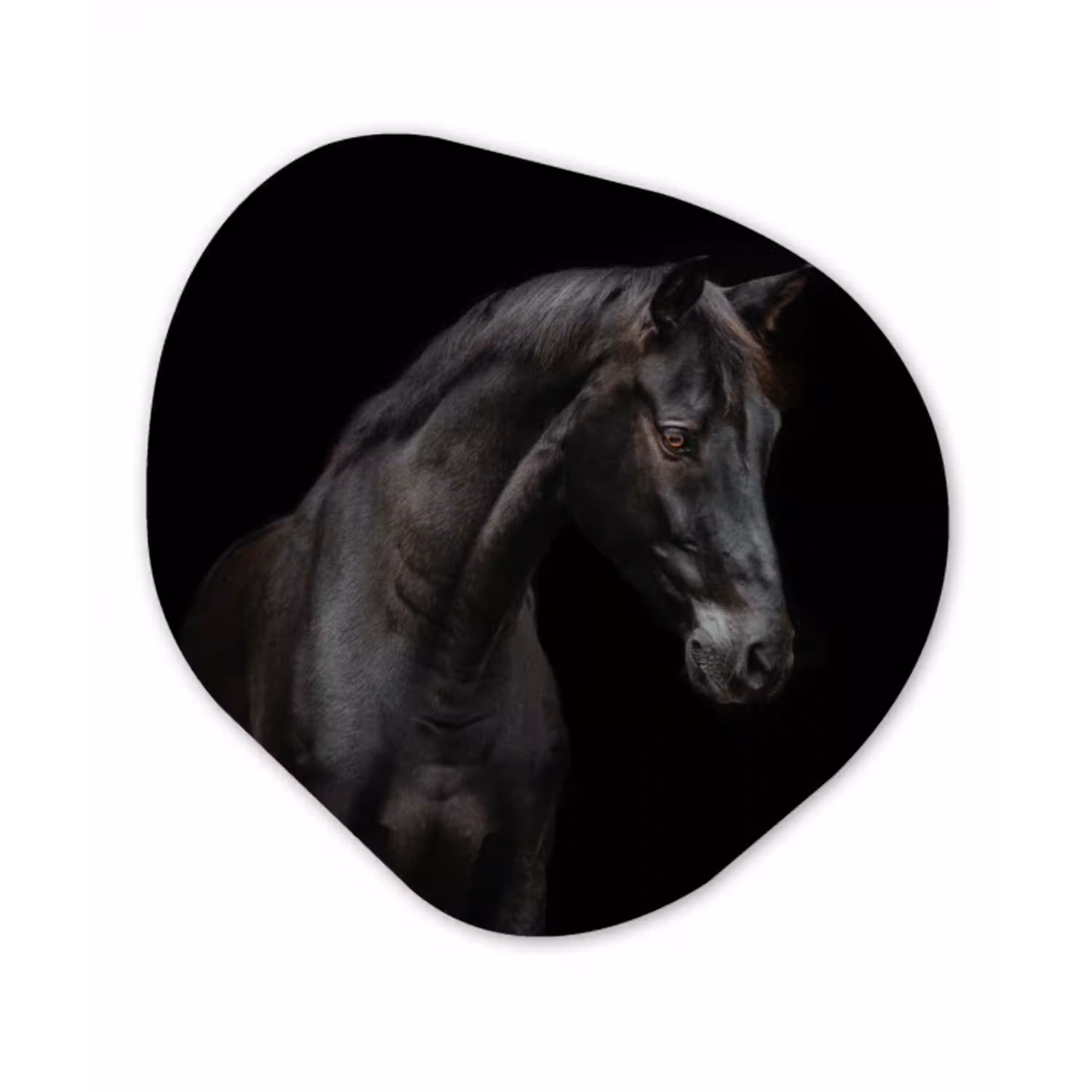 Paard - Dieren - Zwart - Portret Wandcirkel Organisch Forex 3mm klein -3d