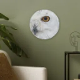 Sneeuwuil - Oog - Wildlife - Wit Akoestische PET Vilt - Rond klein -sfeer2