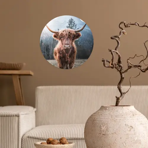 Schotse hooglander - Koe - Dieren - Berg - Natuur Wandcirkel behangsticker klein -sfeer1