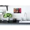 Graffiti - Chimpansee - Aap - Bril - Kleurrijk Muursticker klein -keuken