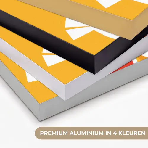 Kippen - Oranje - Vlakken Textielframe zwart klein -USP_kleurenNL