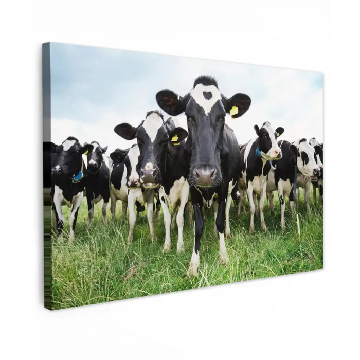 Nieuwsgierige koeien Tuinposter op houten frame 2 cm dik klein -3d
