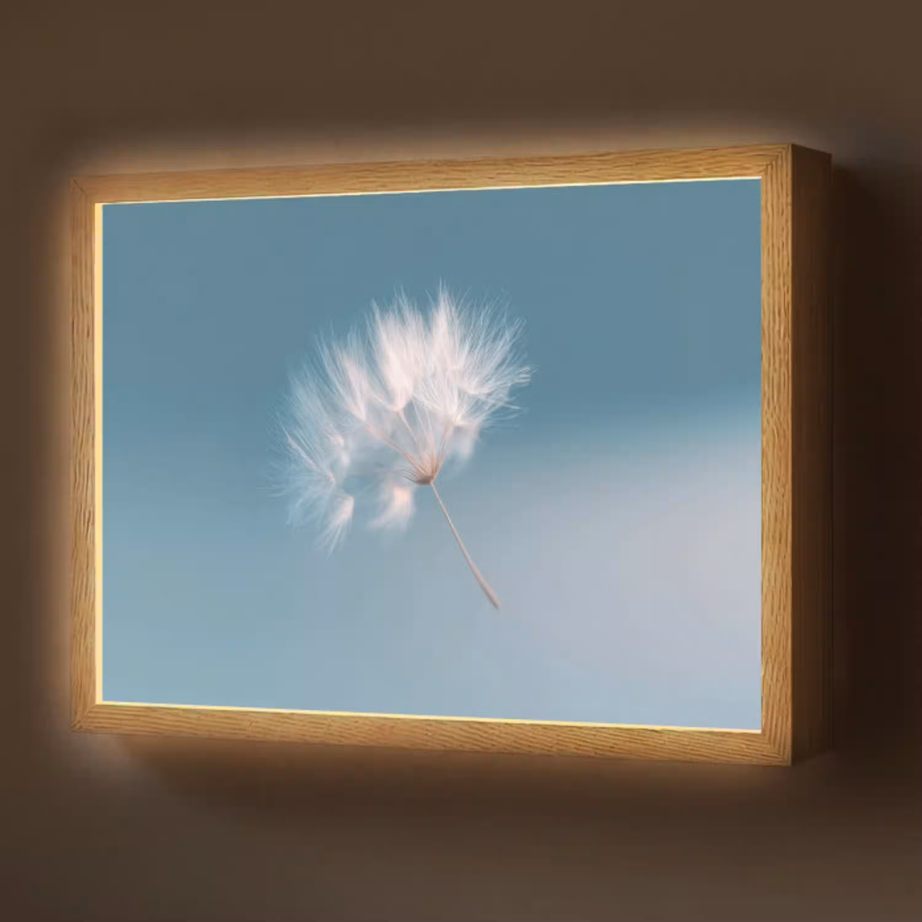 Paardenbloempluisje - Blauw - Lucht Light Box met batterij (Wandlamp) middel -z3d_website