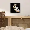 Orchidee - Bloemen - Planten - Botanisch plexiglas 5mm klein -sfeer4