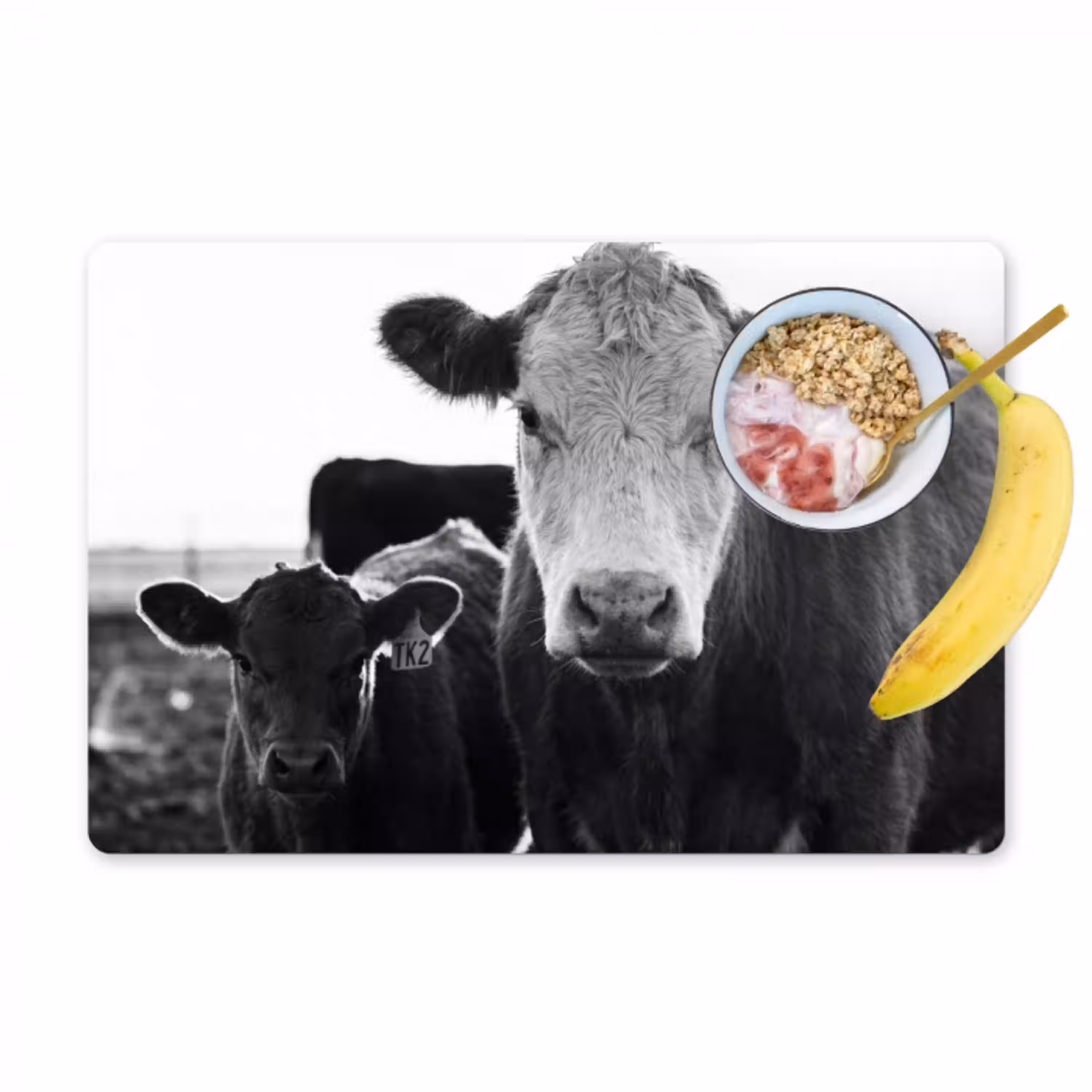 Koeien - Zwart - Wit Placemat vinyl groot -zzzproduct_Kitchenyeah-website
