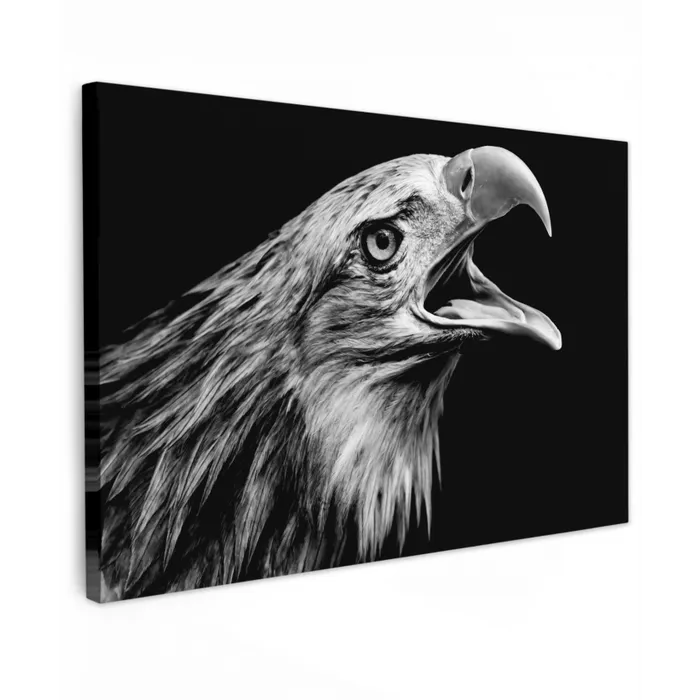 Adelaar - Portret - Roofvogels - Zwart - Wit - Vogel canvas 2cm klein -z3d