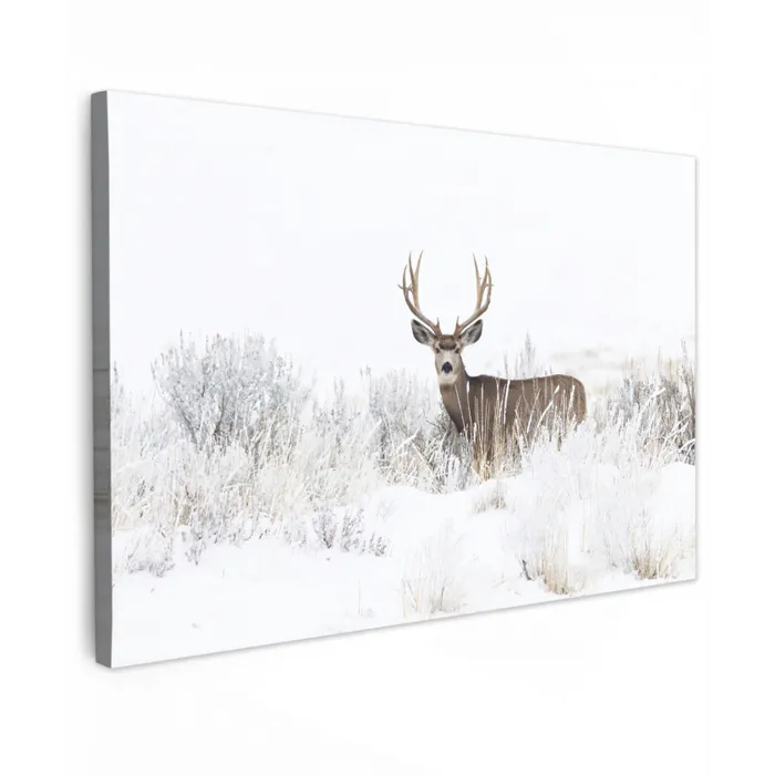 Hert - Winter - Sneeuw - Dieren - Seizoenen - Wit canvas 2cm klein -z3d