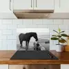 Paard - Auto - Zwart - Wit keuken achterwand spatscherm klein -sfeer2
