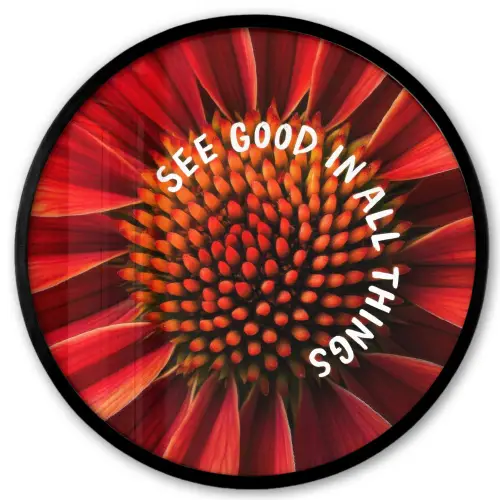 Close up - Bloem - Quote - Rood Fotolijst rond zonder passe partout klein -3d