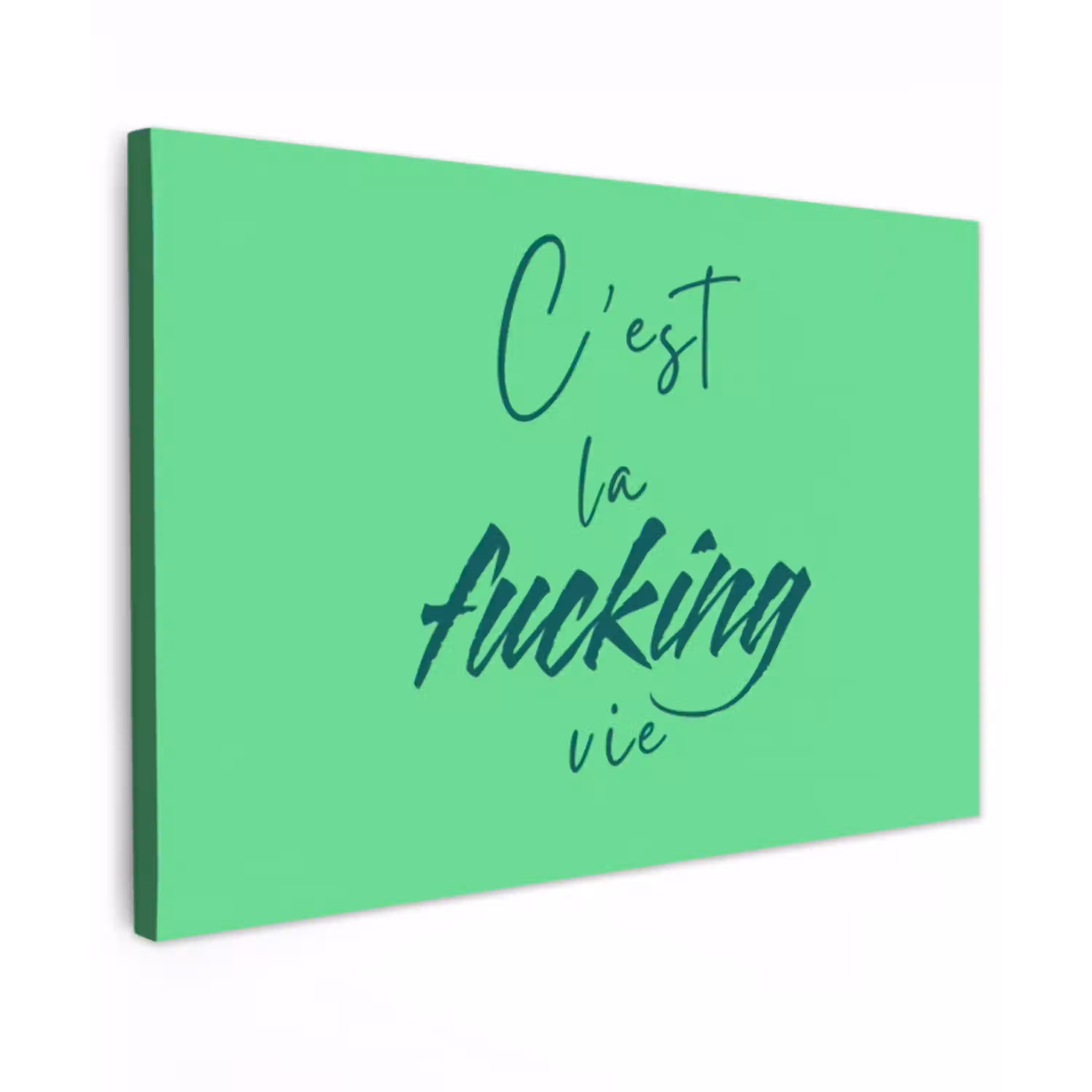 c'est la fucking vie - Groen - Penseelstijl Tuinposter op houten frame 2 cm dik klein -3d