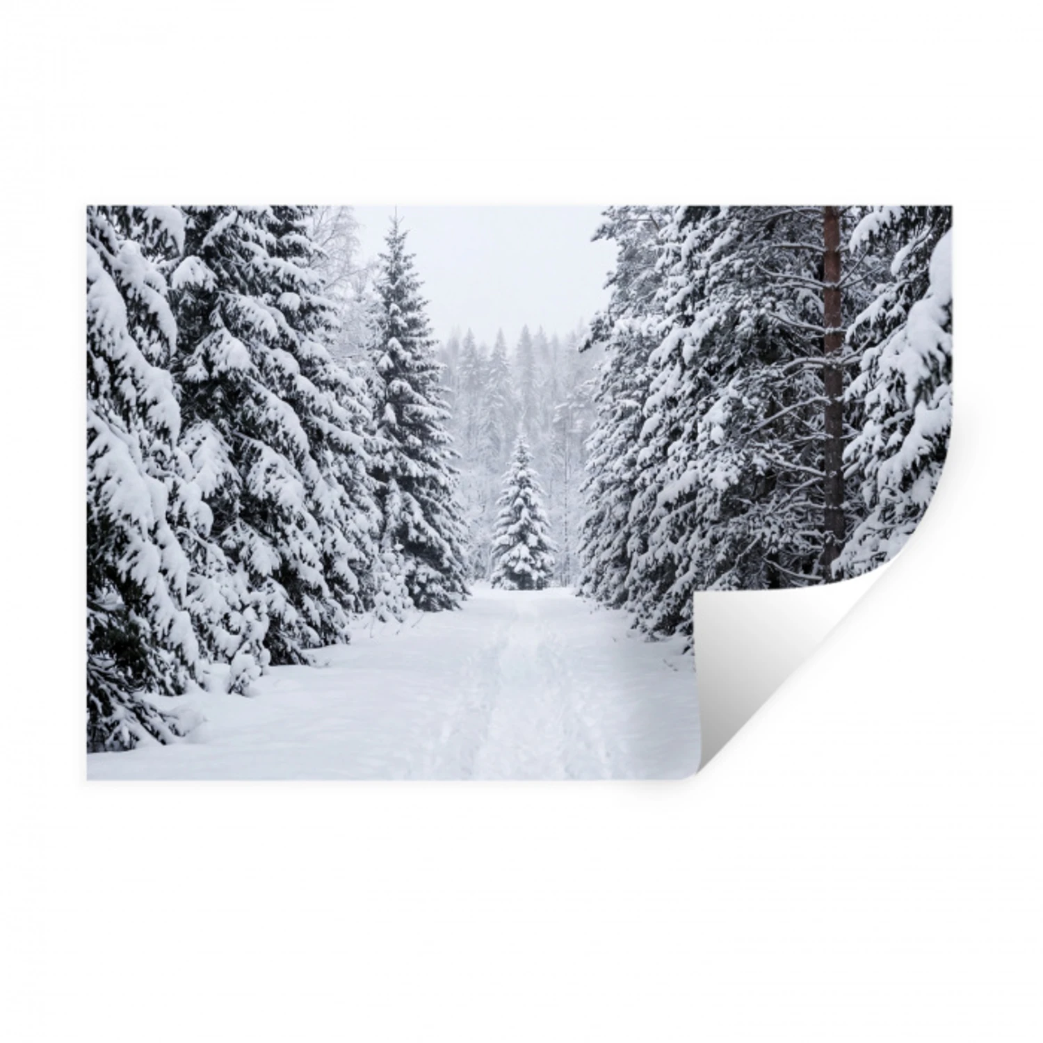 Bos - Winter - Sneeuw - Pad - Natuur Muursticker klein -3d