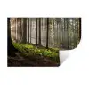 Zonlicht - Takken - Boom - Bos Muursticker klein -3d