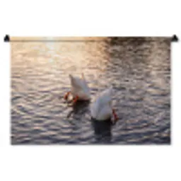 Eenden - Water - Natuur Wandkleed katoen middel -zz3d