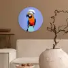 Papegaai - Koksmuts - Vogel - Leuk Wandcirkel plexiglas klein -sfeer1