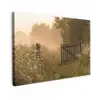 Hek - Natuur - Mist - Veld Tuinposter op houten frame 2 cm dik klein -3d