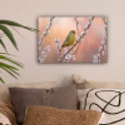 Groenling - Katjes - Lente - Natuur - Zacht canvas 2cm klein -sfeer1