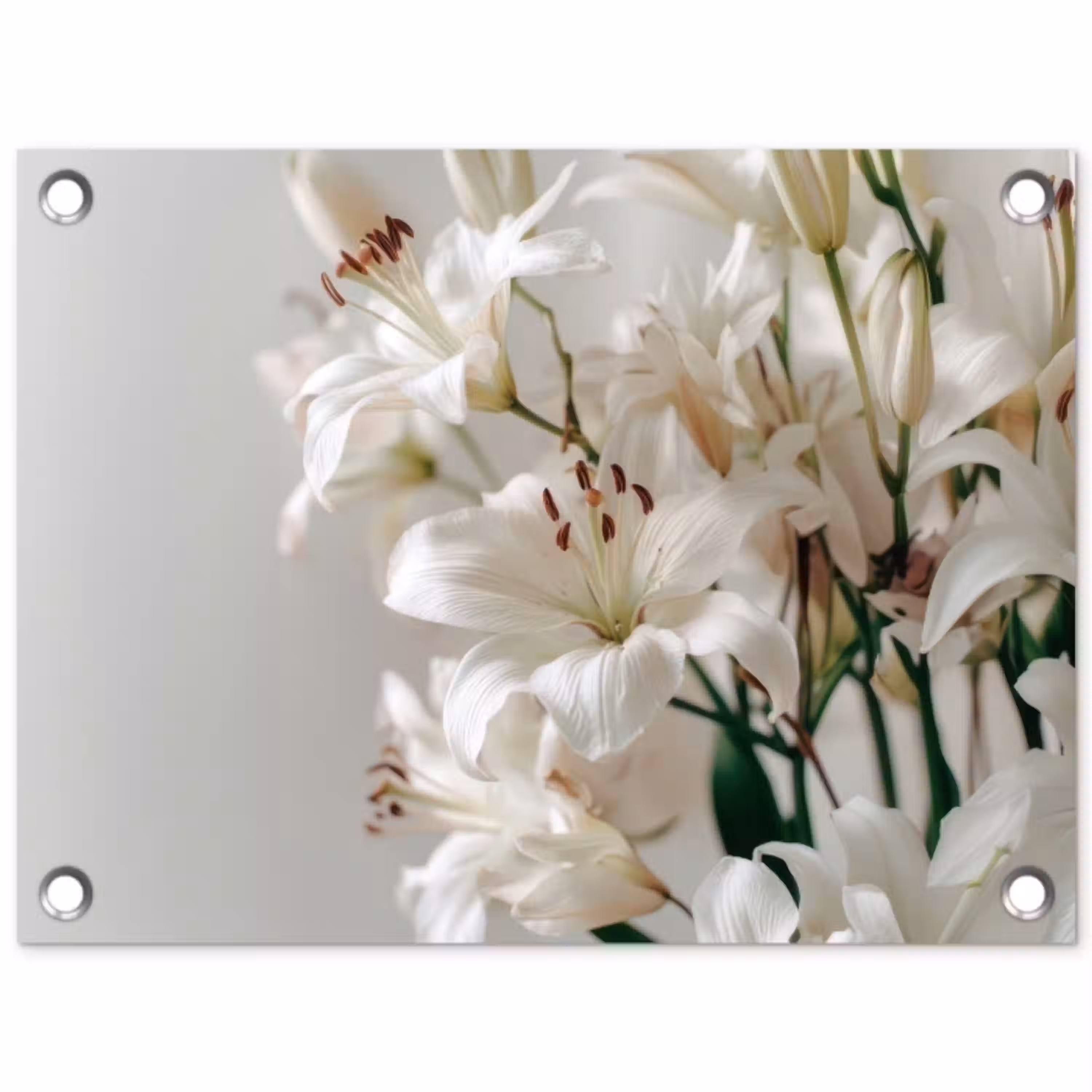 Lelies - Boekte - Wit - Meeldraden tuinposter los doek klein -3d