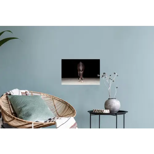 Paard - Modern - Portret Muursticker klein -plant