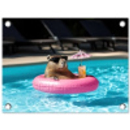 Zwemband - Capibara - Zonnebril - Water tuinposter los doek klein -3d
