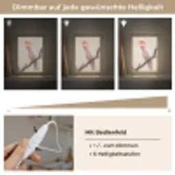 Papagaai - Tak - Roze Light Box met kabel (Kinderlampje) klein -USP_dimbaarDE