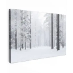 Bos - Sneeuw - Pad - Winter - Stilte canvas 2cm klein -z3d