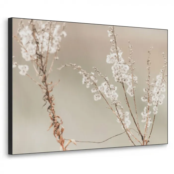 Bloemen - Wit - Planten Textielframe zwart klein -3d