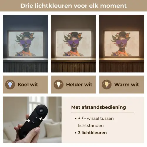 Vrouw - Zonnebril - Vlinder - Bloemen Light Box met batterij (Wandlamp) middel -USP_lichtkleurNL