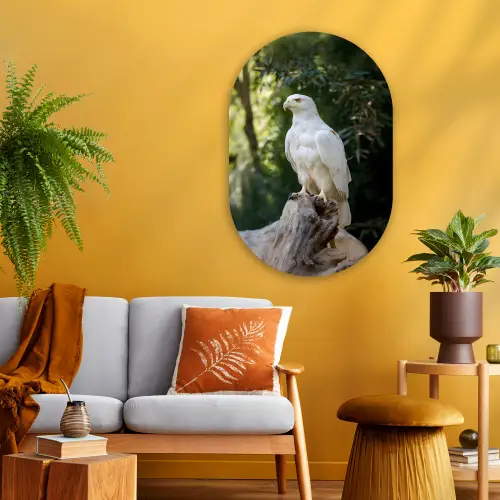 Arend - Hout - Wit - Planten Wandcirkel Ovaal Glas middel -sfeer4