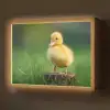 Kuiken - Eend - Geel - Gras Light Box met batterij (Wandlamp) middel -z3d_website