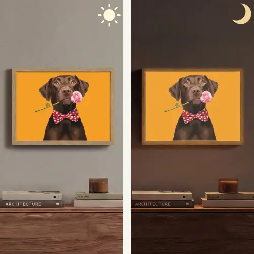 Hond - Oranje - Roos - Valentijn Light Box met batterij (Wandlamp) middel -sfeer3