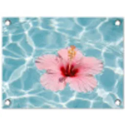 Hibiscus - Water - Roze tuinposter los doek klein -3d