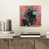 Graffiti - Chimpansee - Dieren - Street art - Banksy plexiglas 5mm klein -sfeer1