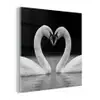 Zwanen - Hart - Zwart - Wit plexiglas 5mm klein -z3d