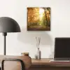 Bos - Herfst - Zon - Landschap - Natuur - Bomen - Bladeren aluminium wit klein -sfeer5